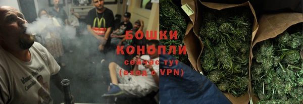 PSILOCYBIN Вязьма
