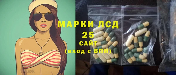 PSILOCYBIN Вязьма