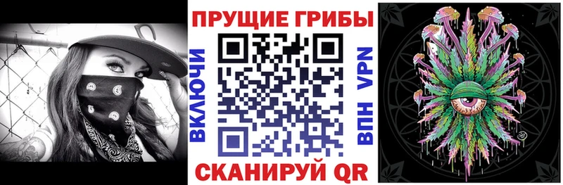 Купить закладки  Будённовск  Псилоцибиновые грибы мицелий 